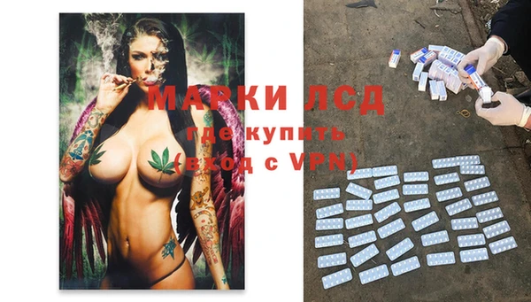экстази Богданович