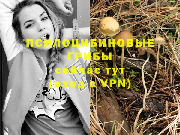экстази Богданович