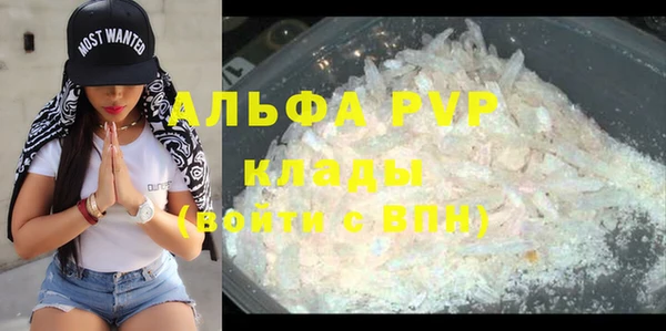 экстази Богданович