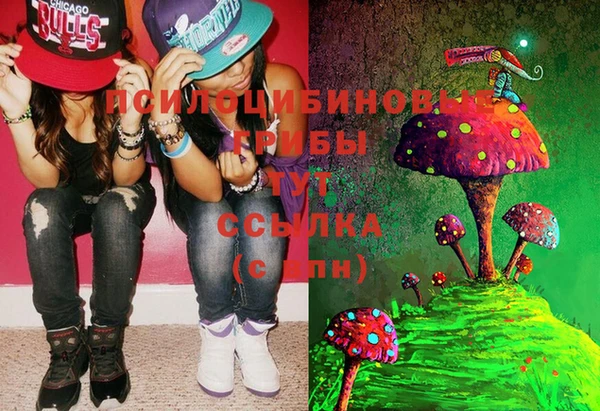 экстази Богданович