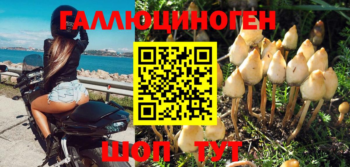 Буйнакск  Псилоцибиновые грибы мухоморы  Вход с VPN 