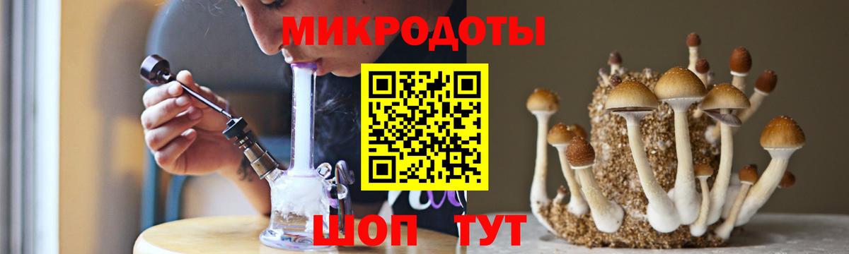 Псилоцибиновые грибы GOLDEN TEACHER Буйнакск